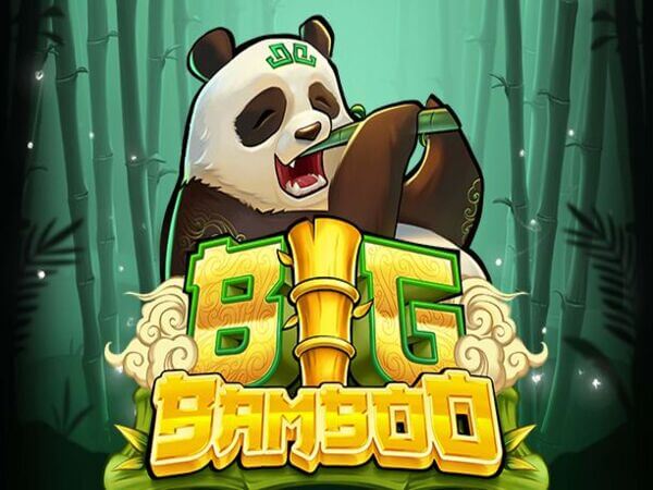 bodog apk